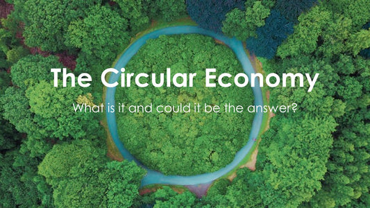 The Circular Economy - What is it and could it be the answer?