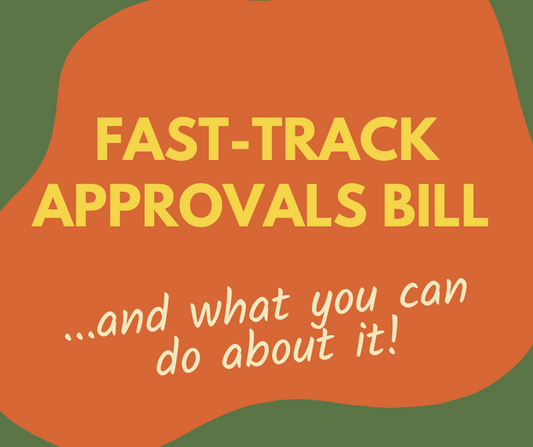Fast Track Approvals Bill and Some Things You Can Do About It