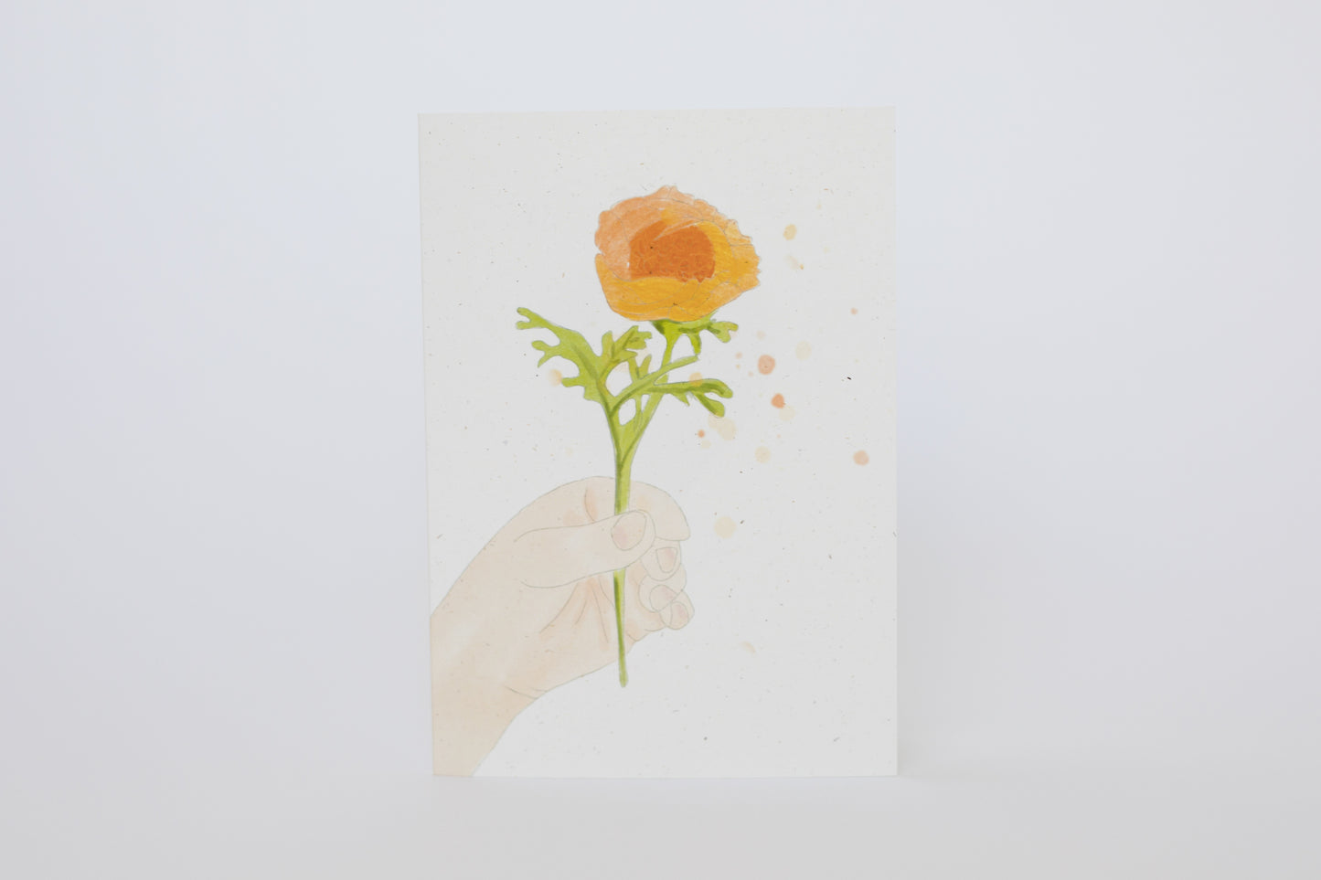 Giving Seeds of Love | Gift Cards