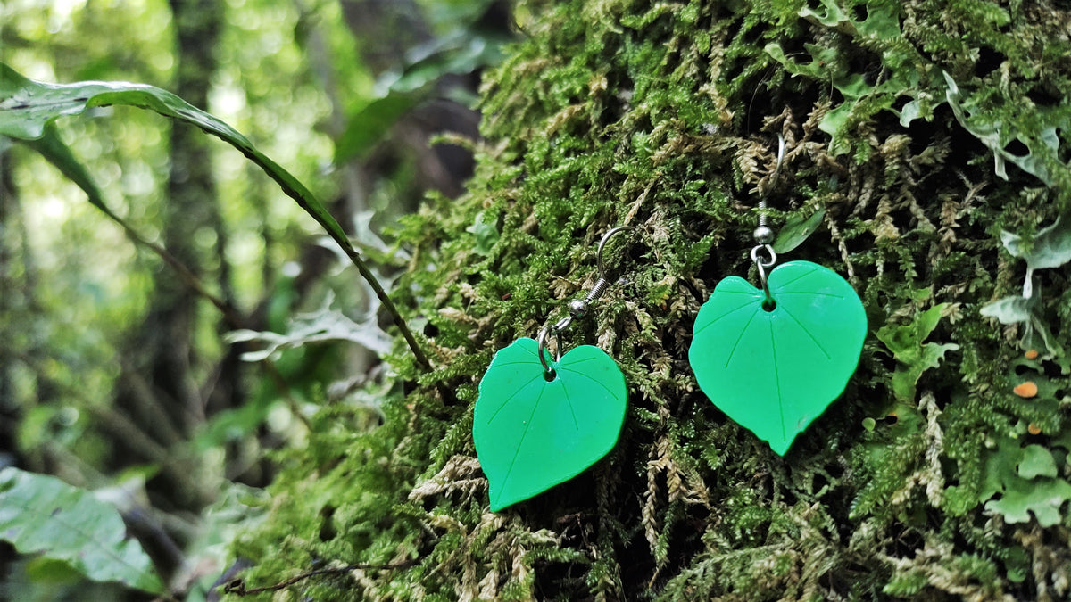 Photo of recycled plastic kawakawa leaf earrings on a tree in New Zealand native bush