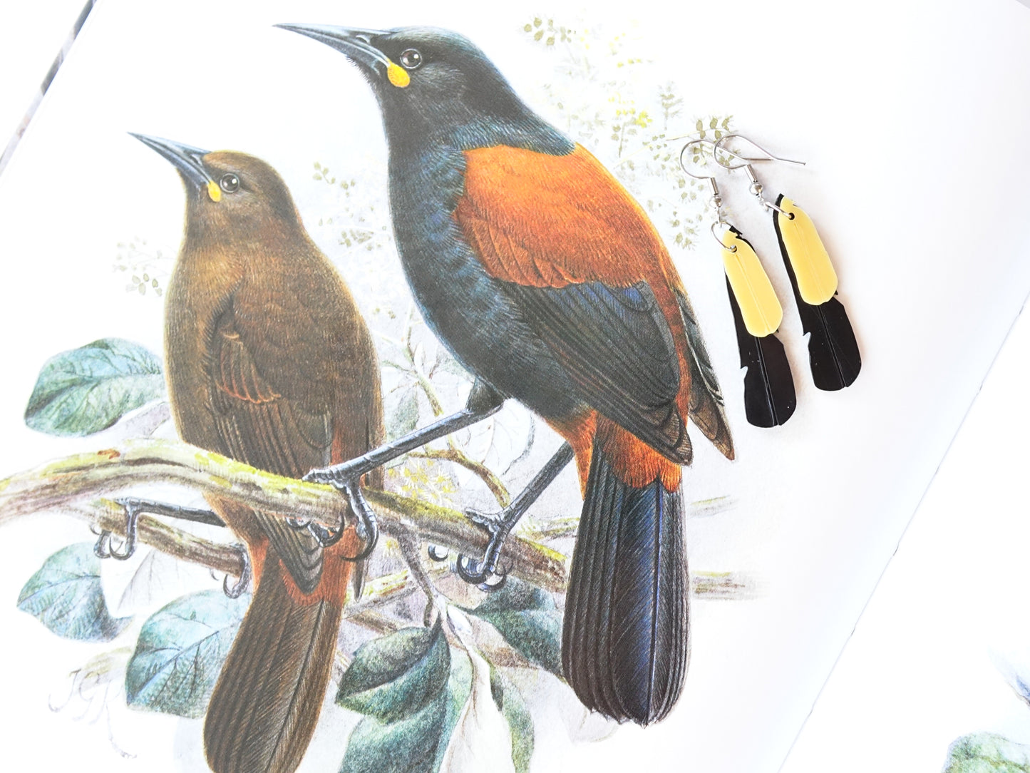 Saddleback Feather Earrings | Recycled Ice Cream Container Lids