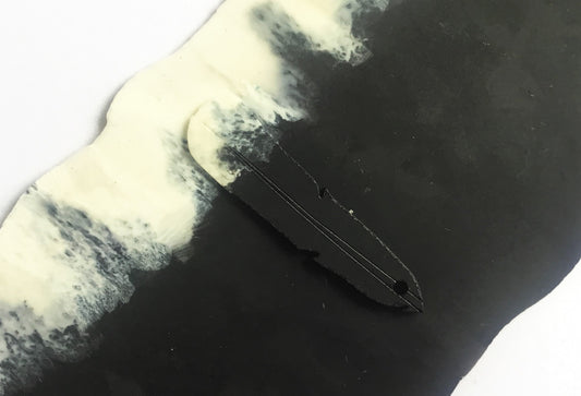 Our Huia Feathers