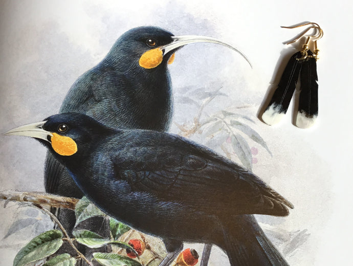 The Story of Huia and Our Feather Earrings