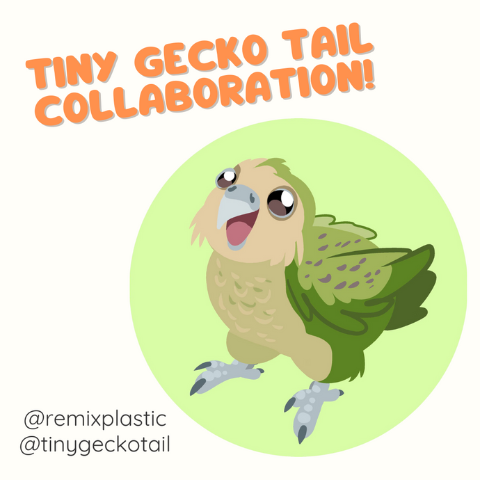 Collaboration with Tiny Gecko Tail