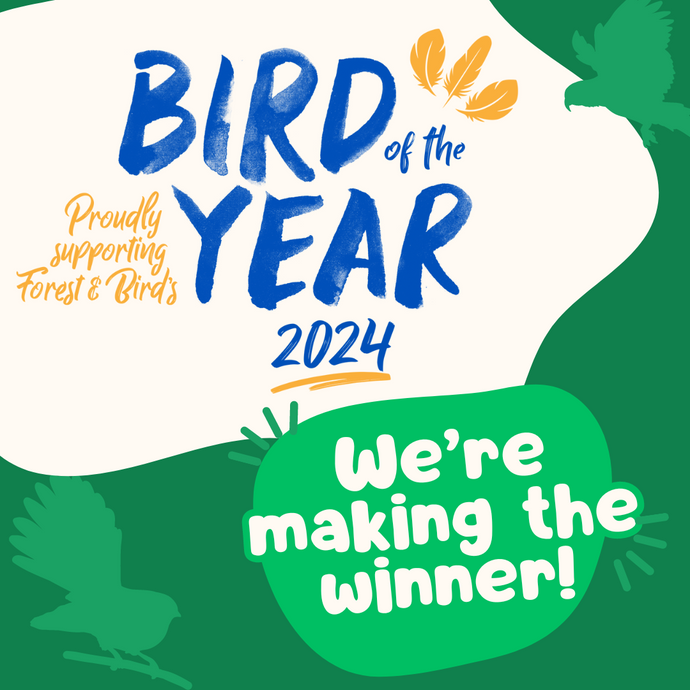 Design Challenge: Making the Bird of the Year Winner from Sustainable Materials