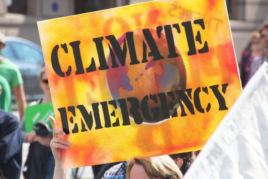 Climate Emergency – What does it mean?