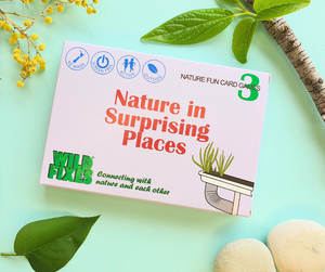 Nature Fun Card Games / Sustained Fun