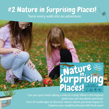 Nature Fun Card Games / Sustained Fun