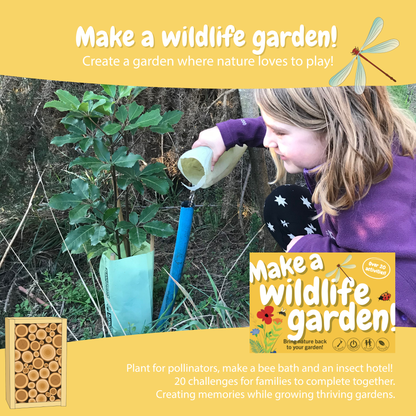 Nature Fun Card Games / Sustained Fun
