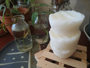 Shampoo Bar