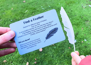 Nature Fun Card Games / Sustained Fun