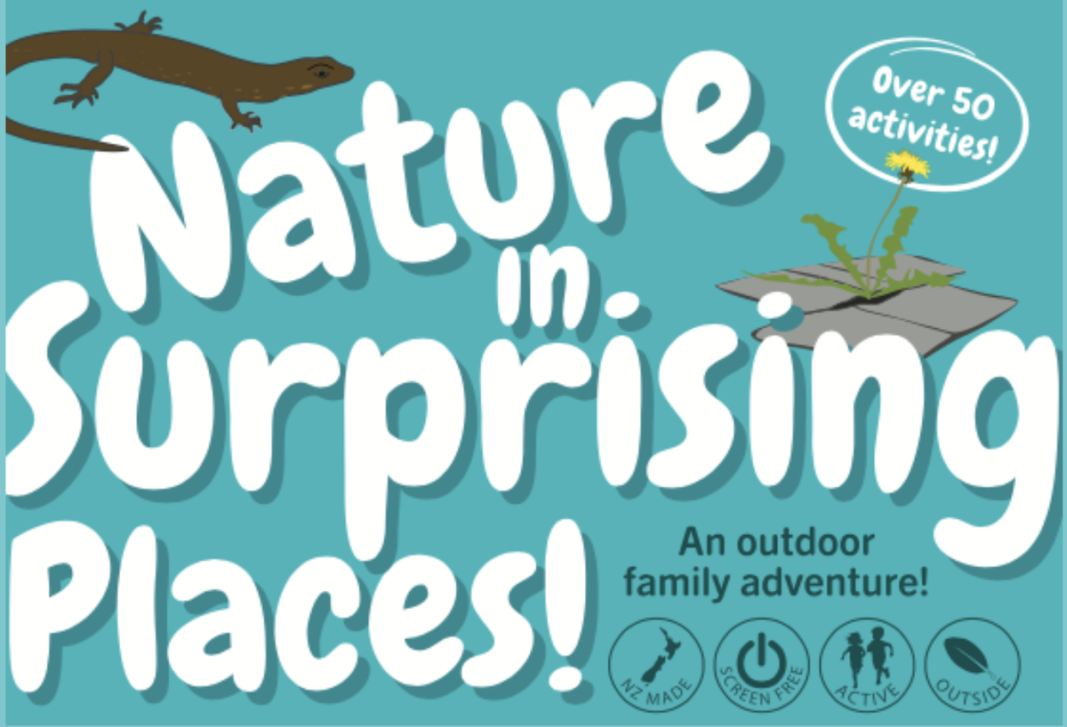 Nature Fun Card Games / Sustained Fun