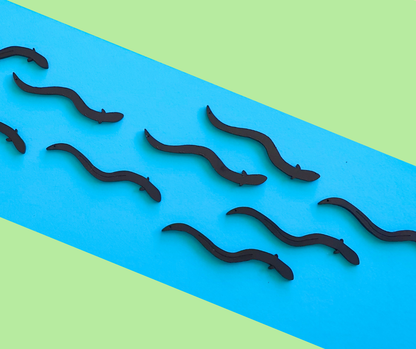 Tuna Eel Earrings| Recycled 3D Printer Waste