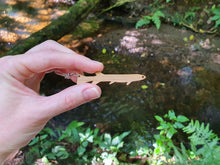 Kōkopu / Galaxiid Fish Earrings | Salvaged Bamboo Offcuts