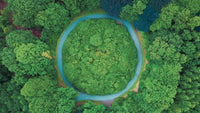 Green circle of trees circular economy and kaupapa