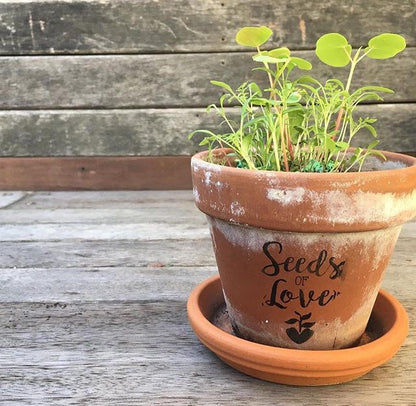 Giving Seeds of Love | Gift Cards
