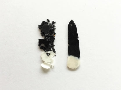 Huia Feather Earrings | Recycled 3D Printer Waste